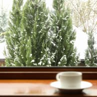 cup-tea-stands-wooden-windowsill